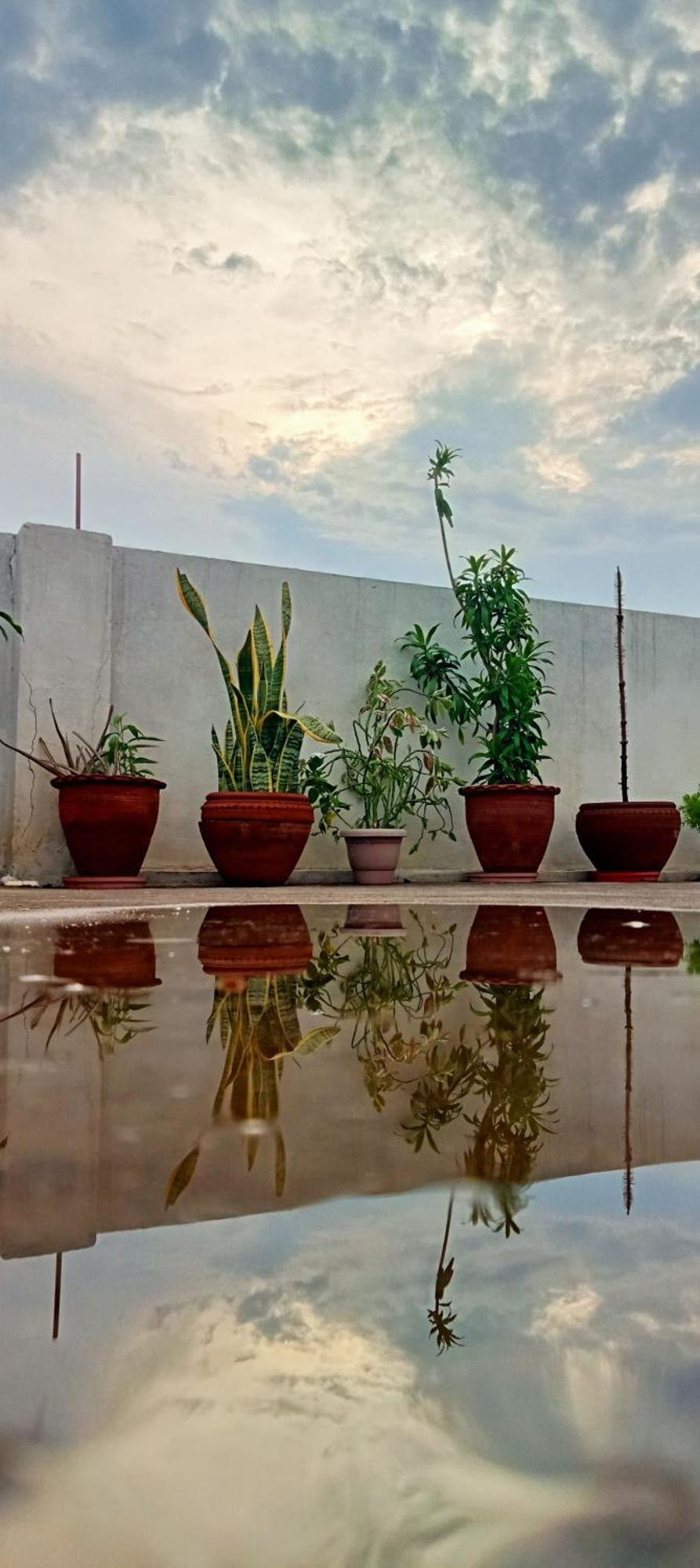 Cocoon Auberge Jaipur Eksteriør bilde